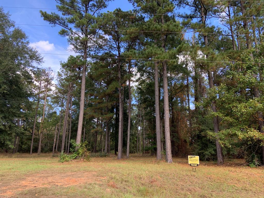 Listing Photo 17287