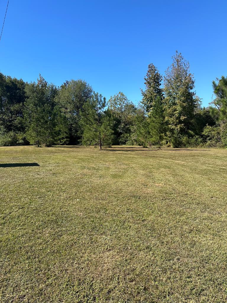 Listing Photo 17355