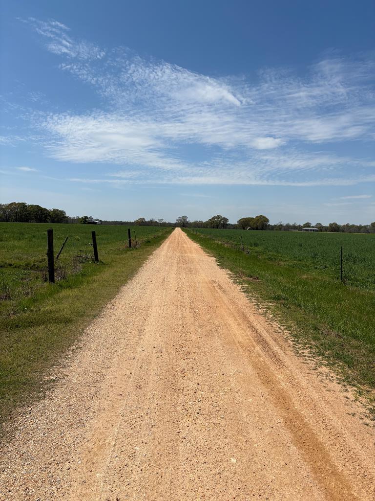 Listing Photo 17417