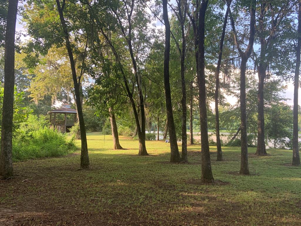 Listing Photo 17485
